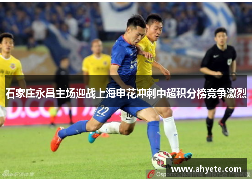 石家庄永昌主场迎战上海申花冲刺中超积分榜竞争激烈