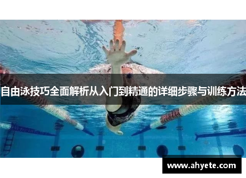 自由泳技巧全面解析从入门到精通的详细步骤与训练方法