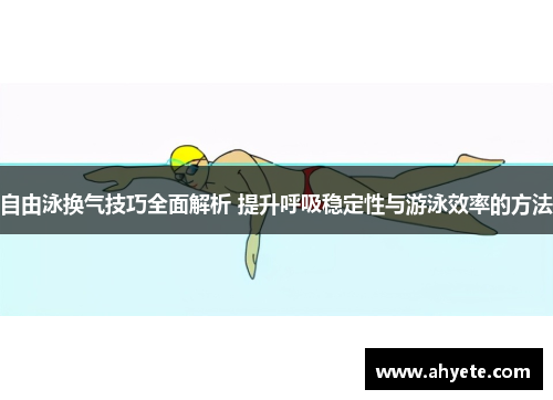 自由泳换气技巧全面解析 提升呼吸稳定性与游泳效率的方法