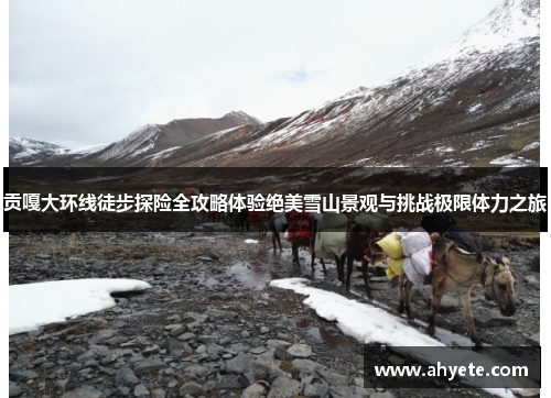贡嘎大环线徒步探险全攻略体验绝美雪山景观与挑战极限体力之旅