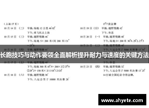 长跑技巧与动作要领全面解析提升耐力与速度的关键方法