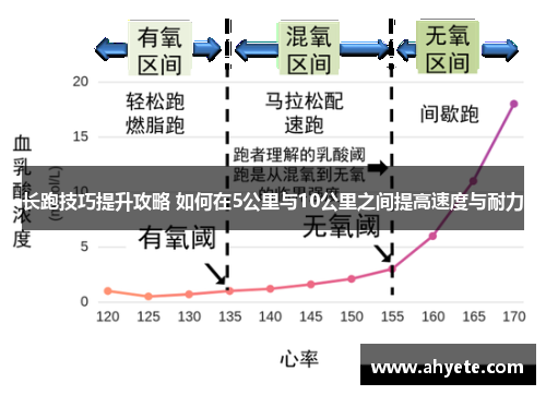 长跑技巧提升攻略 如何在5公里与10公里之间提高速度与耐力