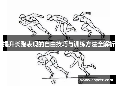 提升长跑表现的自由技巧与训练方法全解析